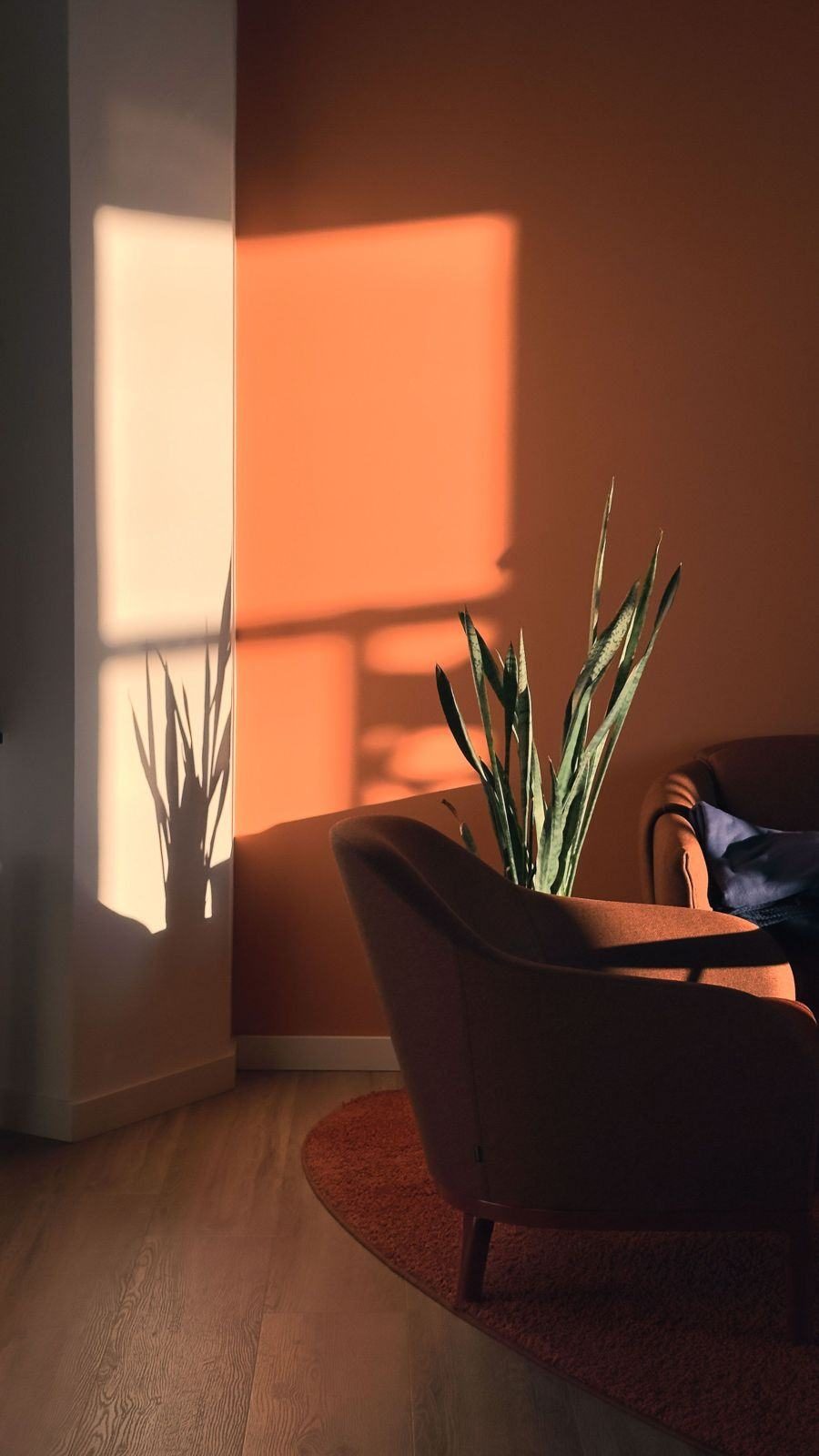 Fauteuil dans la lumière du soir